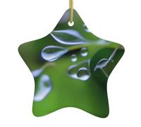 Decorazione per albero di Natale in ceramica da appendere a forma di stella Yyhwhjde, stampa di rugiada mattutina, design squisito, 7,9 x 7,9 cm