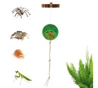 Decorazione per arrampicata, saltarini, giocattolo decorativo interattivo | Accessori per serbatoio di ragno saltante per terrario, rettili, draghi barbuti, serpenti e tartarughe terrestri