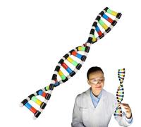 Decorazione per aule di biologia, modello di | Giocattolo per la costruzione di modelli di per bambini, forniture didattiche, decorazioni per aule di biologia, giocattolo scientifico