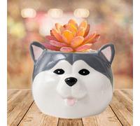 Decorazione per balcone in ceramica a forma di cane a forma di cartone