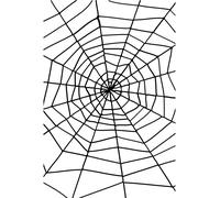 Decorazione Per Festa Di Halloween Con Ragnatela E Ragno