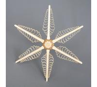 Decorazione per Finestra Spanstern Con Rosette IN Il Centro Lxa 34x34cm Nuovo