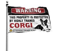 Decorazione per garage da uomo, con scritta "Warning This Property Is Protected by A highly trained by a highly trained Corgi", poster per camera da ragazzi (30 x 45 cm)