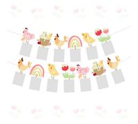 Decorazione per il primo compleanno di pollo gallina pulcino Photo Banner dal neonato a 12 mesi Barnyard Rainbow Flower Cutout Questo pulcino è uno striscione per ragazzi ragazze fattoria animale a