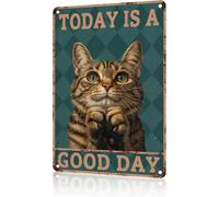 Decorazione per la casa in metallo con gatto, opera d'arte, oggi è una giornata, poster divertente con gatto, decorazione vintage da parete per bagno, bar, caffetteria, garage, giardino, fattoria, 1