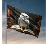 Decorazione per la casa, motivo: gufo innevato nella biblioteca della conoscenza, bandiera autunnale per cortile, giardino, per esterni (30 x 45 cm)