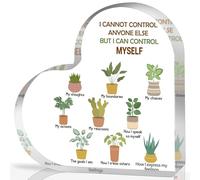 Decorazione per la salute mentale, decorazione consapevole per terapia e ufficio, cose che posso controllare, regalo a forma di cuore, in acrilico, per consulente scolastico, terapista, ufficio
