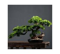 Decorazione per la scrivania, Bonsai Albero Artificiale di Alta Qualità Finto Verde Ingresso Decorativo Simulazione Ornamenti Decorativi Zen Feng Shui Artificiali
