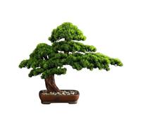 Decorazione per la scrivania, Bonsai Albero Artificiale Finto Pino Verde Ingresso Decorativo Simulazione di Ornamenti Tavolino da Caffè Scrivania Decorativi Feng Shui Artificiali