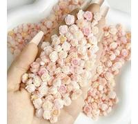 Decorazione per nail art a forma di rosa e peonia bicolore, 3D, piccoli boccioli di fiori freschi luminosi, accessori per manicure fai da te, 300 pezzi misti