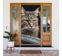 Decorazione per porta di benvenuto, 180 x 80 cm, gatto distrugge il vetro in auto, portico, striscione per foto, sfondo stagionale, per porta d'ingresso, striscione da appendere per feste di festa