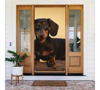 Decorazione per porta di benvenuto, 180 x 80 cm, un simpatico bassotto per portico, sfondo fotografico, striscione stagionale per porta d'ingresso, striscione da appendere per feste in interni ed