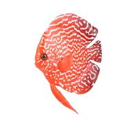 Decorazione Realistica di Pesce Luminoso Artificiale Luminoso-qualità Silicone Ornamento del Serbatoio Tropicale-Robusto, Non Tossico e Facile da Pulire Pesce per Look Naturale