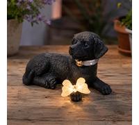 Decorazione solare da giardino a forma di cane con farfalla luminosa in resina a forma di cucciolo