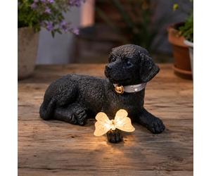 Decorazione solare da giardino a forma di cane con farfalla luminosa in resina a forma di cucciolo