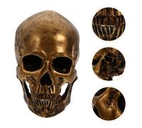 Decorazione Teschio Cranio Umano Decorazioni Per La Casa D'epoca