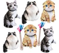 Decorazioni di compleanno per gatti con Ragdoll Scottish Fold American Shorthair Kitty Palloncini per gatti Decorazione a tema, Miao Cat Kittens, Decorazione di compleanno per animali domestici