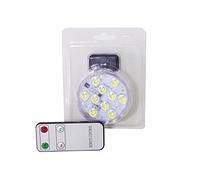 Decorazioni e Addobbi Placca Luci 10 LED Waterproof C/telecoma
