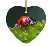 Decorazioni in ceramica a forma di cuore a forma di coccinella a sette stelle per la decorazione della parete della casa, feste in giardino e decorazioni per albero di Natale.