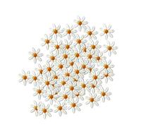 Decorazioni Patch ricamate, Toppe ricamate Mini margherite Fiore da cucire for abbigliamento Applique fai da te 20 pezzi o 50 pezzi(50pcs in one pack)