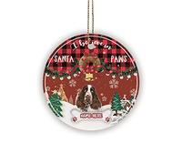 Decorazioni Per Albero Di Natale Custom With English Springer Spaniel I Believe Santa Paws Con Cordino Ornamenti Natalizi Artistico Pendenti In Porcellana Per Vacanze Feste Famiglia