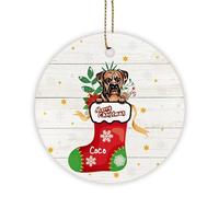 Decorazioni Per Albero Di Natale Cute Pembroke Welsh Corgi Dog In Red Stocking Wooden Star Con Cordino Ornamenti Natalizi Artistico Ceramica Di Natale Per Amici Vacanze Famiglia