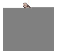 Decorazioni per cortile di Halloween, spaventose decorazioni di Halloween con fantasma, oggetti di scena fotografici, decorazioni per le vacanze, spettrale per cortile, casa infestata, parete, cortile