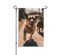 Decorazioni per esterni stagionali, a doppia faccia, 12 x 18 pollici, primavera ed estate, raffiguranti un cane che corre sulla strada. Decorazioni da giardino per le feste, per patio, fattoria, veran