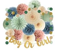 Decorazioni per feste di sesso del bambino o della ragazza Banner verde salvia rosa polveroso blu decorazioni per baby shower salvia rosa polveroso blu pompon di carta fan per neonate ragazzi doccia