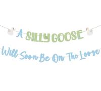 Decorazioni per il primo compleanno dell'oca, a Silly Goose Will Soon Be On The Loose Banner Blue and Green Oche a tema 1 ° compleanno decorazione per feste per ragazzi animali da fattoria primo