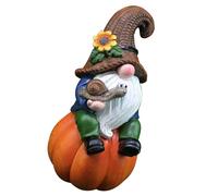 Decorazioni Per La Casa Autunnali Decorazione Del Giardino Zucca