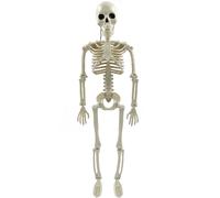 Decorazioni per la casa di anatomia del corpo di Halloween, scheletro a grandezz