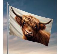 Decorazioni per porta della camera da letto, ritratto di mucca delle Highland: bandiera maestosa e misteriosa, accessori per la stanza da uomo bandiere da uomo (152 x 244 cm)