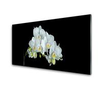 Decormat Immagine del vetro Vetro temperato di vera sicurezza Stampe Murale 100x50 cm Vetro stampato Fotografia decorativa - Floral Fleurs