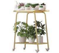 DECORN Supporto per Piante per Interni ed Esterni | Supporti per Piante in Metallo a 2 Livelli | Espositore per fioriere | Mensola ad Angolo Portavaso in Ferro per Soggiorno, Balcone, Patio,d'oro