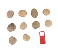 DECORNIJIA 1 Set Pietre Naturali per Dipingere con Kit Creativo per DIY Stile Random per Pratiche e Scuola