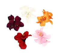 DECORNIJIA Forcine Per Chioma Hawaiiane Doppio Fiore Artificiale, Set Da 5 Pezzi, Accessori Per Donne e Ragazze Per Feste Tropicali, Clip Fermaglio Decorativo Per Acconciature Eleganti