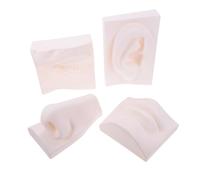 DECORNIJIA Modello di Organi di Senso in PVC Indistruttibile Set da 4 Pezzi per Disegno e Schizzo Artistico, Scultura Pratica per Principianti, Decorazione Casa e Uso Didattico Scolastico