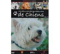 Decouverte Races De Chiens V2