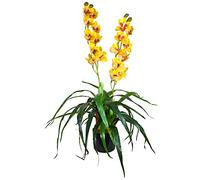 Decovego Orchidea Pianta da Vaso Artificiale Selezione, Selezione pianta di Orchidee :Orchidea Modello 4
