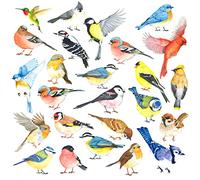 DECOWALL DS-8063 25 adesivi da parete con piccoli uccelli volanti colorati adesivi da parete rimovibile per casa giardino decorazione finestra poster camera da letto cucina soggiorno dolce