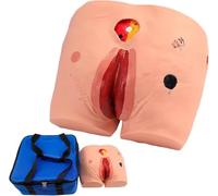 Decubitus - Modello di allenamento per ulcere da pressione a 4 stadi, simulatore di cura per l'istruzione infermieristica e la pratica medica