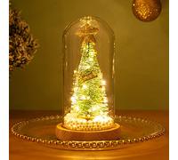 DEDEMCO Mini albero di Natale da tavolo in vetro con cupola di vetro, 22 cm, piccolo albero di Natale illuminato con base in legno, a batteria, LED colorato per albero di Natale, regalo per amici di