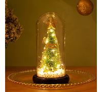 DEDEMCO Mini albero di Natale da tavolo in vetro con cupola di vetro, 22 cm, piccolo albero di Natale illuminato con base in legno, a batteria, LED colorato per albero di Natale, regalo per amici di