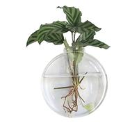 DEDEMCO Vaso da parete per terrari in vetro da appendere, 16 x 15 cm, vaso da parete per piante idroponiche, decorazione per la casa, A4
