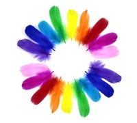 deegbbyi 500 Pezzi Piume Colorate, Artigianato in Piuma, Decorative Piume Naturali, per Orecchini Fai da Te, Matrimoni, Acchiappasogni, Piuma Copricapo, Artigianato Scolastico