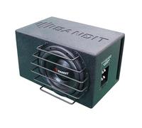 DEEJAY LED BANDIT10 Despacito - Subwoofer singolo da 25,4 cm in un armadio a scatola, 1000 Wrms 2000 Watt di picco con griglia di protezione e due bobine vocali, 4 ohm ciascuno