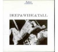 DEEP AND WIDE AND TALL 7" (VINYL 45) UK WEA 1987