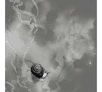 Deep Below - Rats On Rafts (Audio Cd)