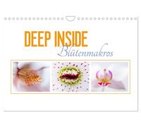 DEEP INSIDE - Blütenmakros (Wandkalender 2027 DIN A4 quer), CALVENDO Monatskalen